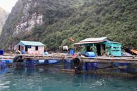 Halong &ndash; &copy; Ngoc Anh Nguyen (Eberhardt TRAVEL)