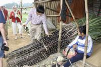 Zuckerrohranbau &ndash; &copy; Ngoc Anh Nguyen (Eberhardt TRAVEL)