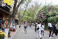 Hoi An  &ndash; &copy; Ngoc Anh Nguyen (Eberhardt TRAVEL)