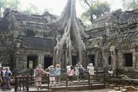 Angkor - Ta Phrom &ndash; &copy; Ngoc Anh Nguyen (Eberhardt TRAVEL)