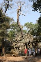 Angkor - Ta Phrom &ndash; &copy; Ngoc Anh Nguyen (Eberhardt TRAVEL)