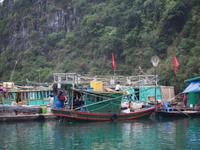 Ha Long Bucht: Schwimmendes Fischerdorf &ndash; &copy; Sinah Witzig (Eberhardt TRAVEL)