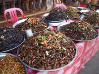 Spinnenmarkt &ndash; &copy; Sinah Witzig (Eberhardt TRAVEL)
