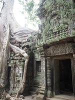 Ta Phrom &ndash; &copy; Sinah Witzig (Eberhardt TRAVEL)