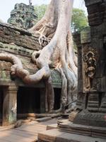 Ta Phrom &ndash; &copy; Sinah Witzig (Eberhardt TRAVEL)