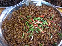 Der Snack für Zwischendurch &ndash; &copy; Julian Bartsch (Eberhardt TRAVEL)