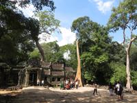 Ta Prohm &ndash; &copy; Julian Bartsch (Eberhardt TRAVEL)