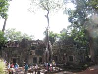 Ta Prohm &ndash; &copy; Julian Bartsch (Eberhardt TRAVEL)