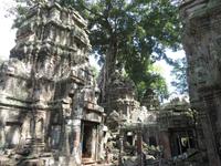 Ta Prohm &ndash; &copy; Julian Bartsch (Eberhardt TRAVEL)