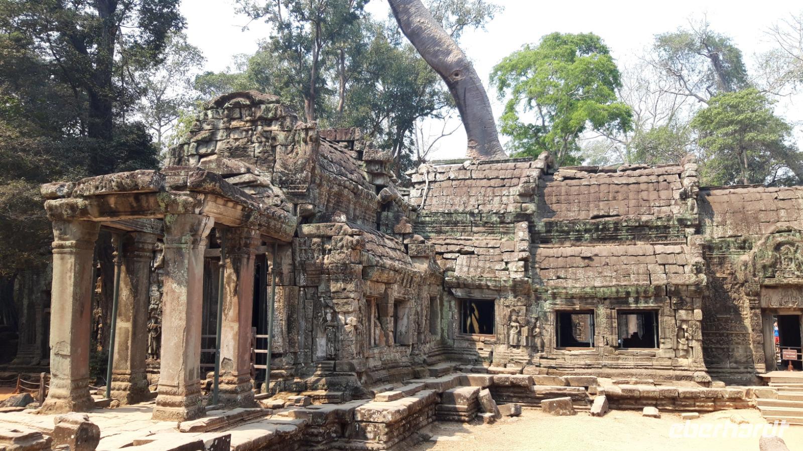 Ta Prohm &ndash; &copy; Sinah Witzig (Eberhardt TRAVEL)