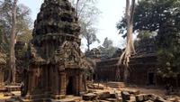 Ta Prohm &ndash; &copy; Sinah Witzig (Eberhardt TRAVEL)