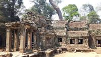 Ta Prohm &ndash; &copy; Sinah Witzig (Eberhardt TRAVEL)