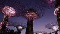Garden by the Bay &ndash; &copy; Sinah Witzig (Eberhardt TRAVEL)