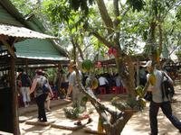 180 Obstgarten Mekong &ndash; &copy; Ngoc Anh Nguyen (Eberhardt TRAVEL)