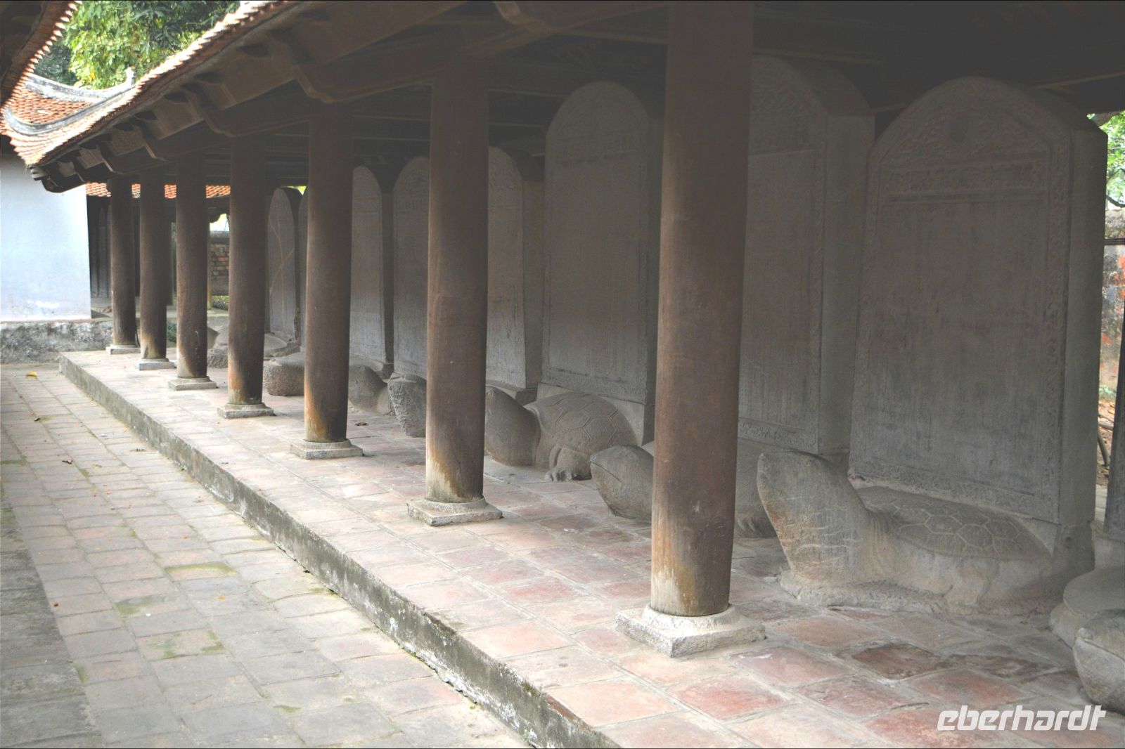 Galerie der weisen Schildkröten &ndash; &copy; Gina Egenolf (Eberhardt TRAVEL)