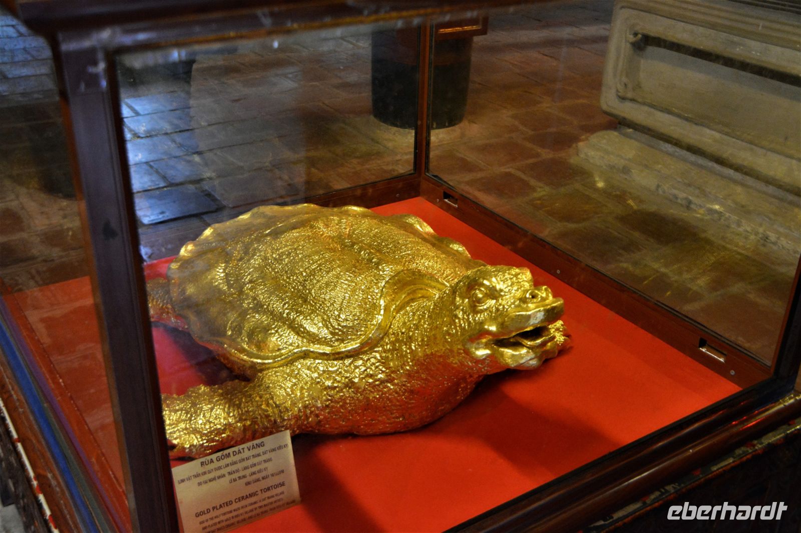 Die weise Schildkröte &ndash; &copy; Gina Egenolf (Eberhardt TRAVEL)