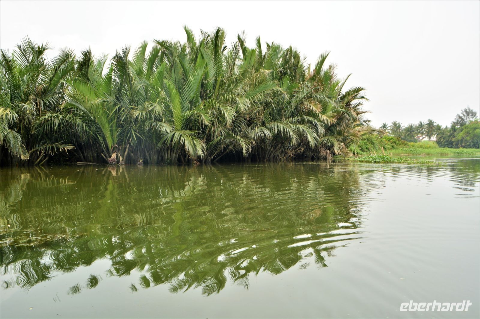 Palmen als Versteck &ndash; &copy; Gina Egenolf (Eberhardt TRAVEL)