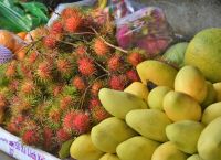 Kann man die essen ? &ndash; &copy; Gina Egenolf (Eberhardt TRAVEL)