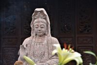 Nahaufnahme &ndash; &copy; Gina Egenolf (Eberhardt TRAVEL)