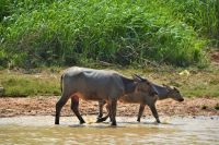 schnell hinterher &ndash; &copy; Gina Egenolf (Eberhardt TRAVEL)