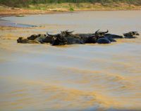 Baden angesagt2 &ndash; &copy; Gina Egenolf (Eberhardt TRAVEL)