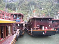 In der Halongbucht &ndash; &copy; Peggy Heinzmann (Eberhardt TRAVEL)