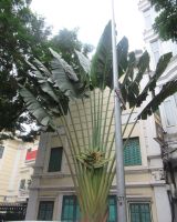 Eine Strelitzie? &ndash; &copy; Marieta Beck (Eberhardt TRAVEL)
