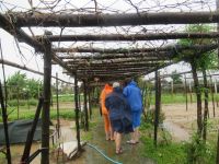 aber wir sind tapfer...Thanh Dong Farm, Hoi An &ndash; &copy; Marieta Beck (Eberhardt TRAVEL)