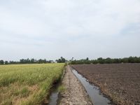 278. Mekong-Delta &ndash; &copy; Teresa Rumpel (Eberhardt TRAVEL)
