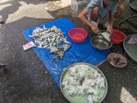 280. Mekong-Delta &ndash; &copy; Teresa Rumpel (Eberhardt TRAVEL)