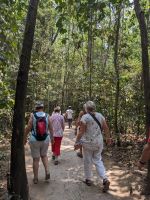 315. Cu Chi Tunnel &ndash; &copy; Teresa Rumpel (Eberhardt TRAVEL)