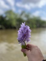 174 Unterwegs im Mekong &ndash; &copy; Andy Nguyen (Eberhardt TRAVEL)