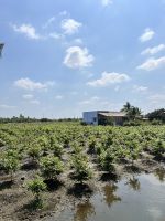 175 Unterwegs im Mekong &ndash; &copy; Andy Nguyen (Eberhardt TRAVEL)