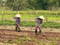 Vietnam - Hoi An &ndash; &copy; Andreas Schmidt (Eberhardt TRAVEL)