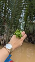 Fahrt mit dem Kokosnuss-Boot  &ndash; &copy; Natalie Hady (Eberhardt TRAVEL)