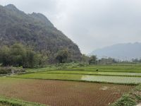 Mai Chau