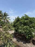 Mekong Delta &ndash; &copy; Andy Nguyen (Eberhardt TRAVEL)