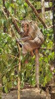 Angkor Centre for Conservation of Biodiversity  &ndash; &copy; Petra Hady (Eberhardt TRAVEL)