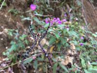 081 Freund auf der Wanderung.JPG &ndash; &copy; Ngoc Anh Nguyen (Eberhardt TRAVEL)