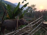082 Pu Luong.JPG &ndash; &copy; Ngoc Anh Nguyen (Eberhardt TRAVEL)