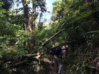 216 Rhododendron Trail.JPG &ndash; &copy; Ngoc Anh Nguyen (Eberhardt TRAVEL)