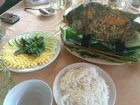 372 Elefantenohrfisch.JPG &ndash; &copy; Ngoc Anh Nguyen (Eberhardt TRAVEL)