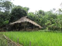 Wohnhaus der Thai &ndash; &copy; Wiebke Lücker (Eberhardt TRAVEL)