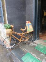 Bambusfahrrad &ndash; &copy; Wiebke Lücker (Eberhardt TRAVEL)