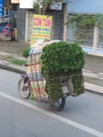 der Fahrer ist schon nicht mehr zu sehen &ndash; &copy; Wiebke Lücker (Eberhardt TRAVEL)