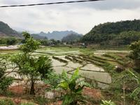 Mai Chau  &ndash; &copy; Ngoc Anh Nguyen (Eberhardt TRAVEL)