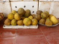 Pomelos &ndash; &copy; Birgit Hornung (Eberhardt TRAVEL)