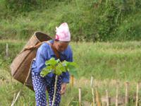 Bei der Arbeit. &ndash; &copy; Birgit Hornung (Eberhardt TRAVEL)