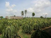 &copy; Dörte Dürfeld (Eberhardt TRAVEL)