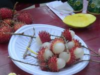 Rambutan &ndash; &copy; Dörte Dürfeld (Eberhardt TRAVEL)